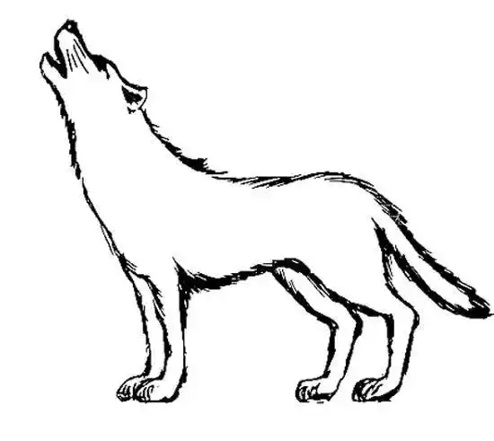 狼头像简笔画大全-www.qqzhi.