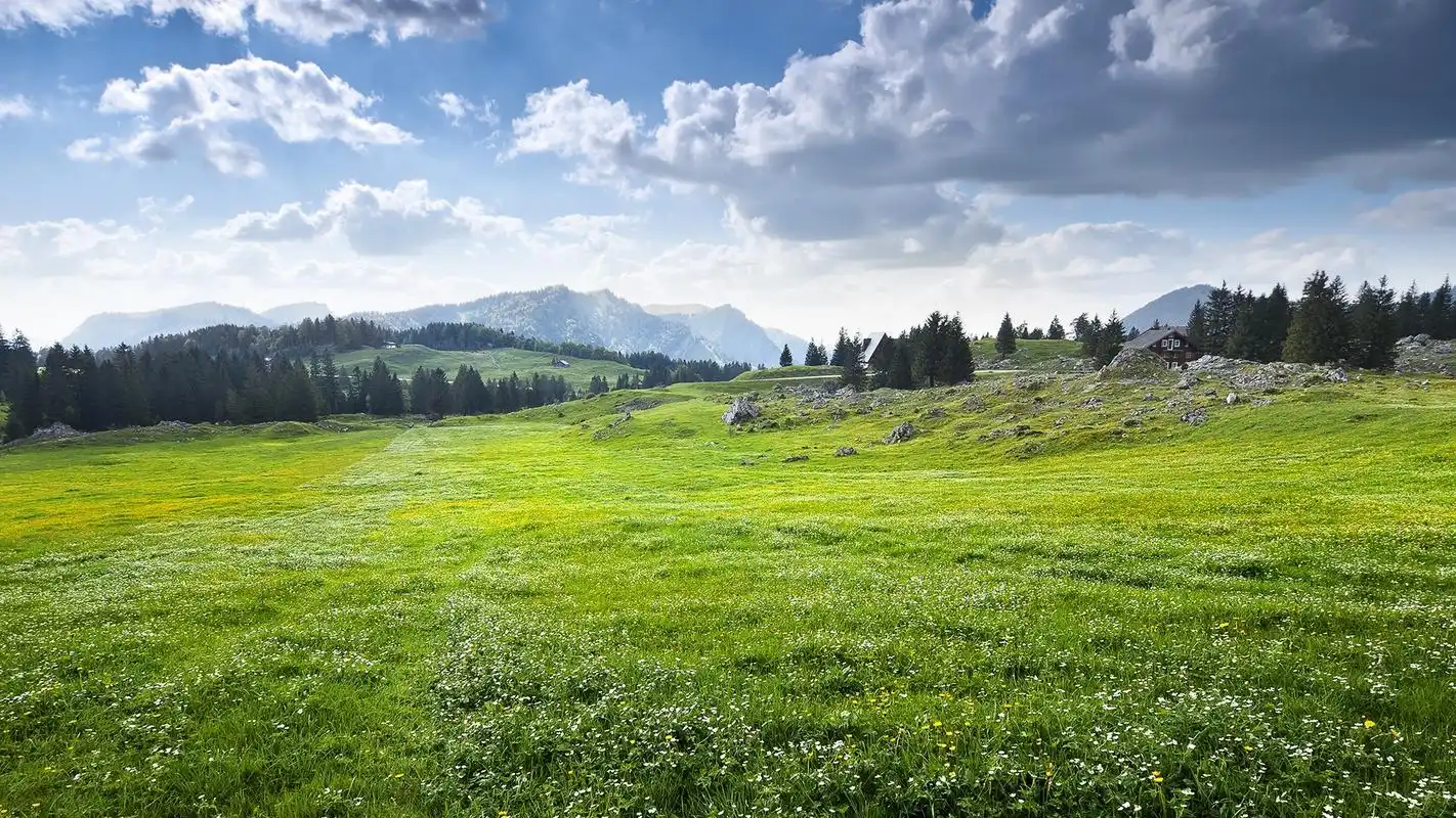 护眼经典图片桌面壁纸下载高清大图预览1920x1080_风景壁纸下载_美桌