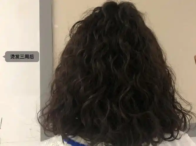 另一篇推文有染发过程但是额真的不太会拍照[doge]#羊毛卷  #短发烫发