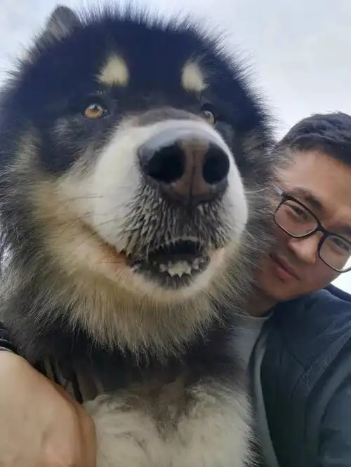 老公跟狗子拍照的时候真够心机的