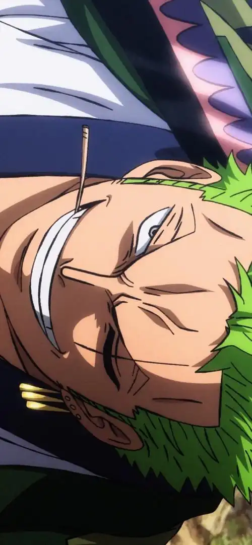 海贼王索隆横屏帅气高清手机壁纸