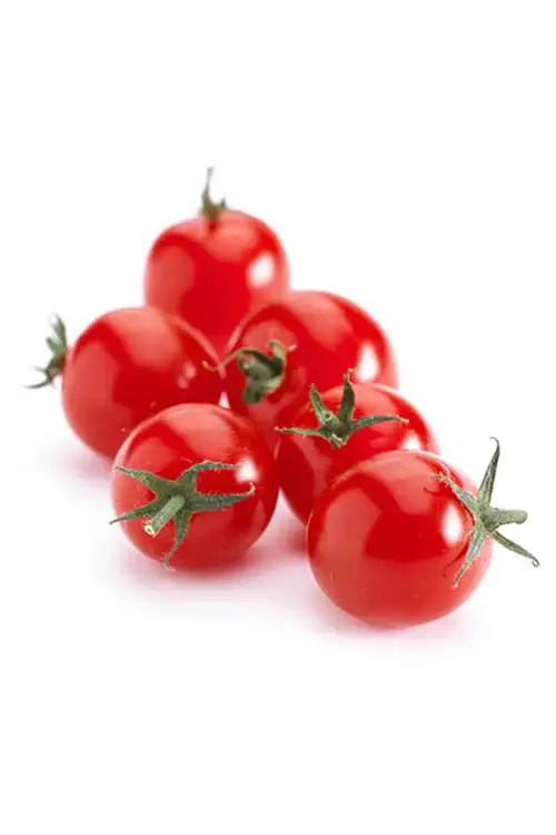 千禧圣女果新鲜小番茄水果小柿子樱桃番茄西红柿现摘现发5斤包邮