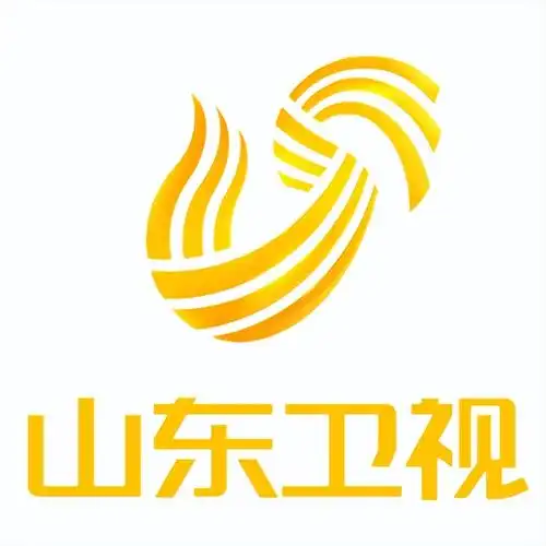 三十四家省级卫视谁家logo最好看