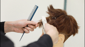 四款最火的男生发型造型技术:凌乱微风|微分碎盖|中分造型|前刺