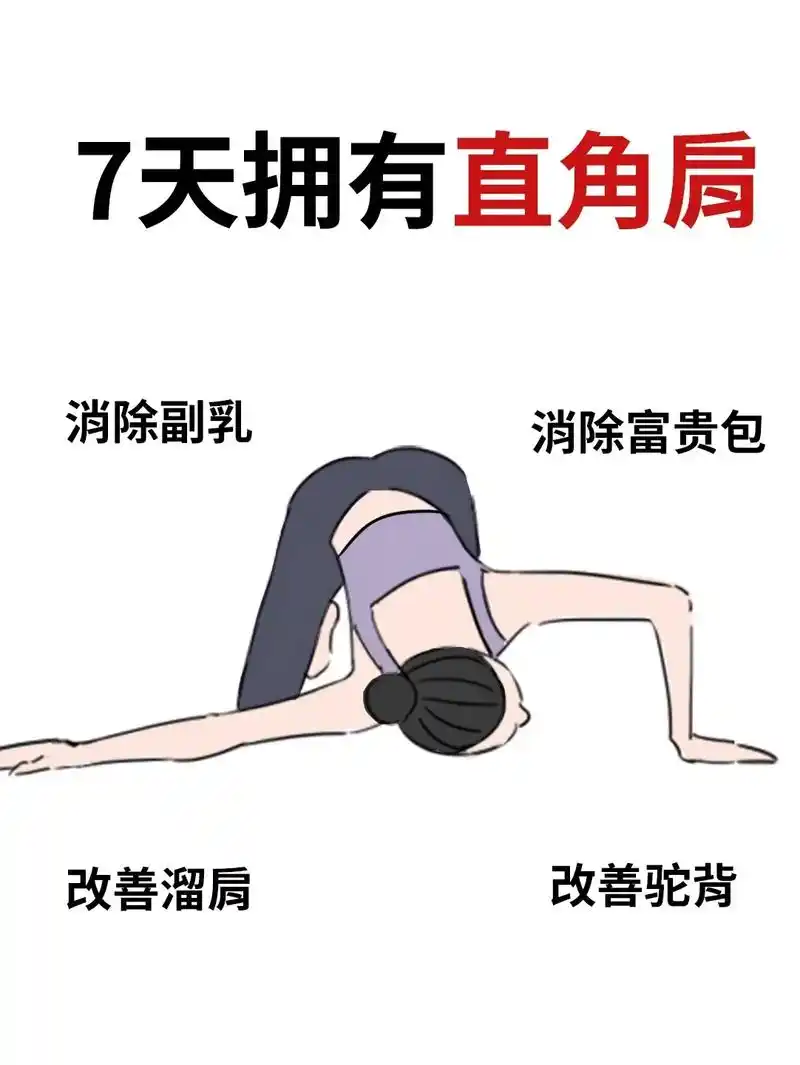 空乘直角肩977天消除斜方肌6015.