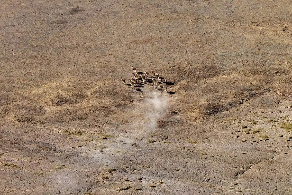 可可西里失联女大学生遗骸找到# #动态营业季# 真的是可惜了,大好