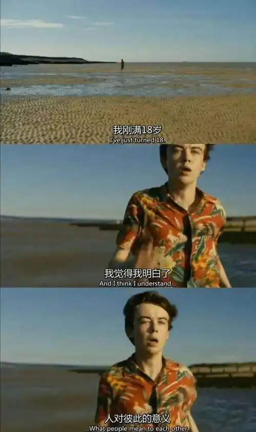 豆瓣91分去他妈的世界重新定义丧气大片适合治愈系青年