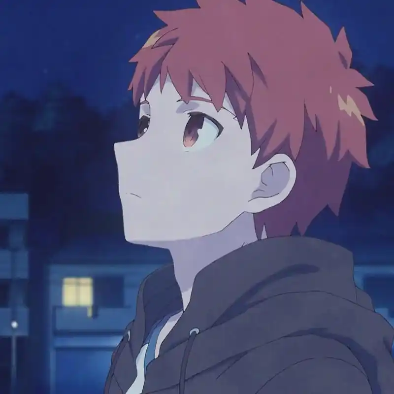 《卫宫家今天的饭》里的卫宫士郎每天都会做好吃的饭菜,会做饭的男人