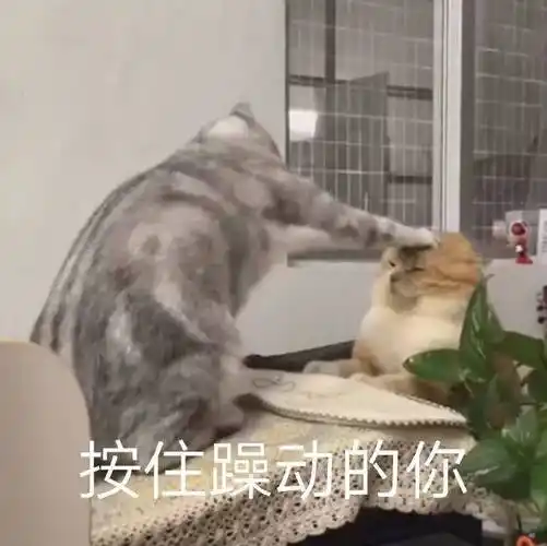 接住躁动的你表情