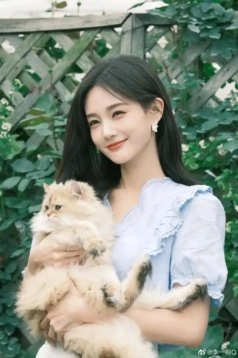 2015年白鹿还是一位路人,现在李沁李一桐孙怡四大美女傻傻分不清