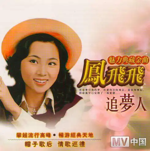 p>《追梦人》是 a href="#" data-lemmaid="236869">罗大佑 /a>作词