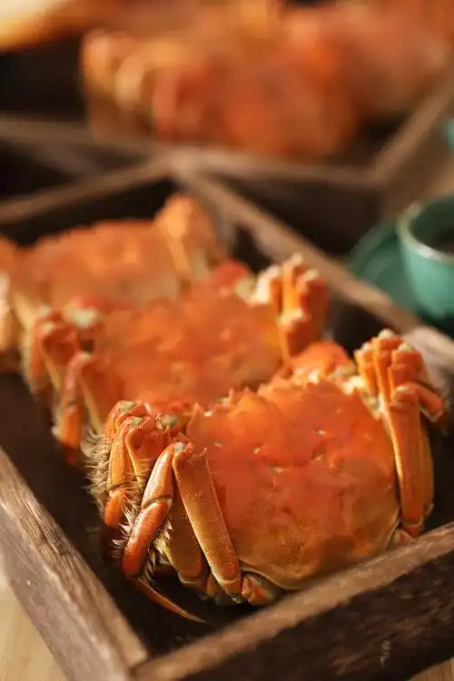 这是一篇吃大闸蟹的小攻略——清蒸大闸蟹【孔老师教做菜】