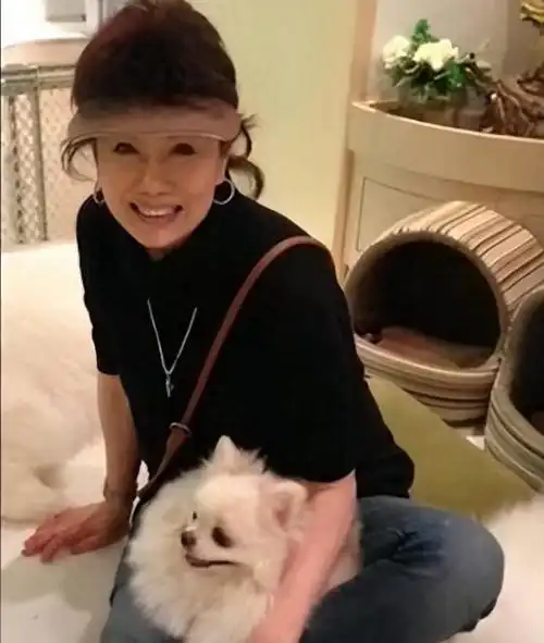 回顾天龙八部已有16位演员去世每一张剧照都是熟悉的面孔