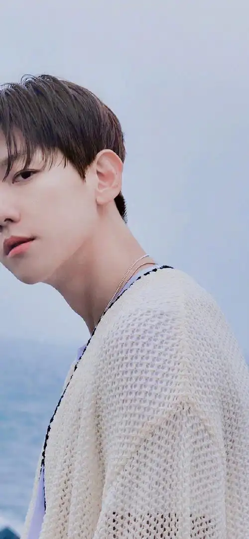 芭兰歌林代言人边伯贤