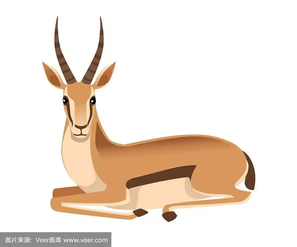 非洲野生黑尾瞪羚长角卡通动物设计平面矢量插图在白色背景侧视图羚羊