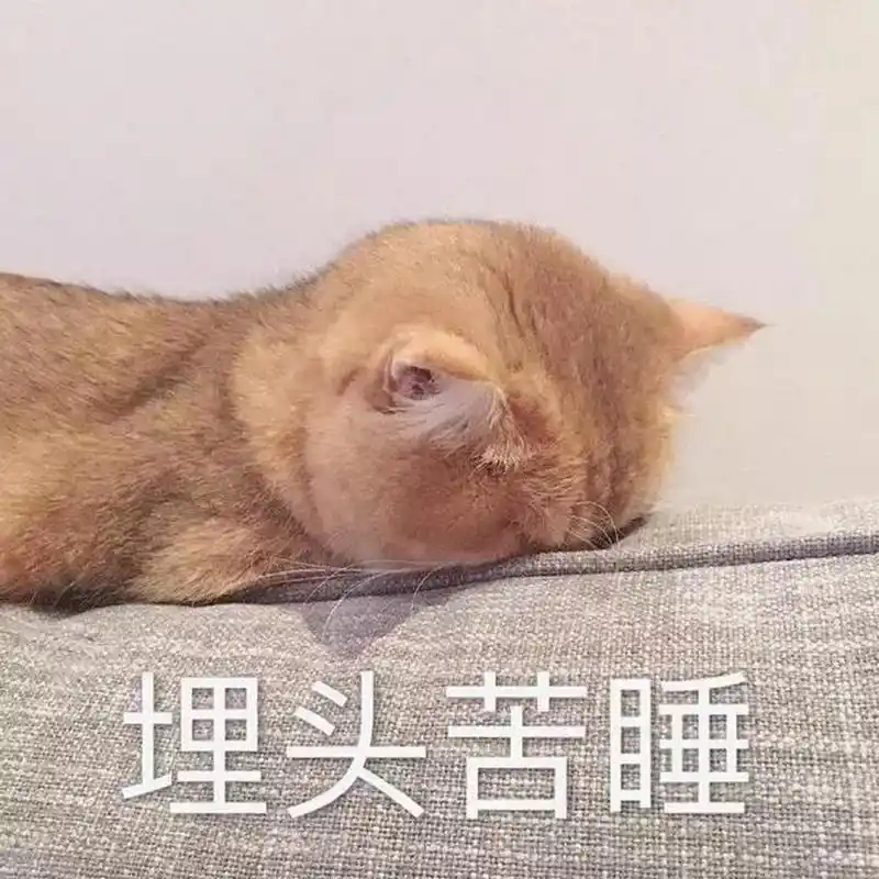 唔…醒了,猫猫,夜深人静的这个时候,什么也不想管了,就这样静静的靠在