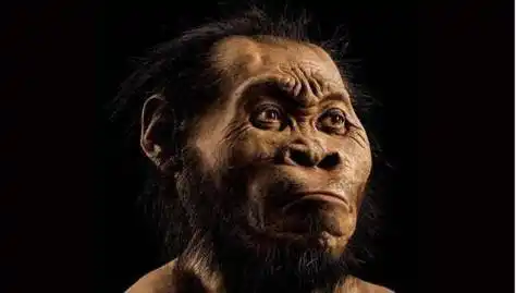 母亲生育了子女,那在人类出现之前,第一位母亲又是如何诞生的?