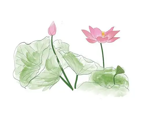 荷花国画图片-荷花国画图片大全-荷花国画背景图片-觅知网