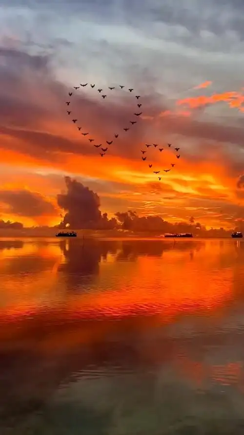 这么美丽的晚霞,肯定要@最最最最最可爱的人啦