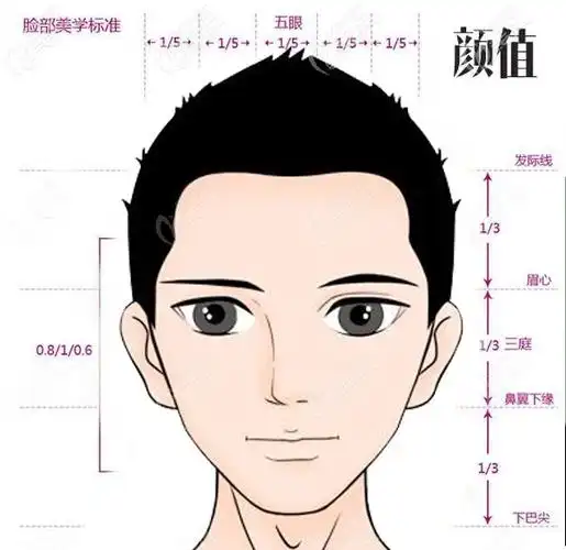 男生发际线正常标准图