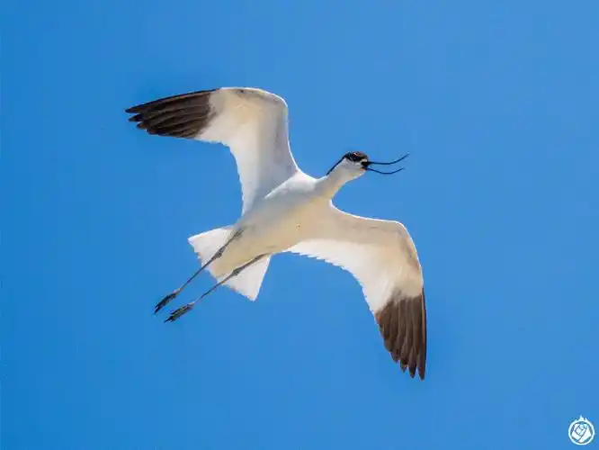 花老师的野外日记##微博知识 ##微博旅行家