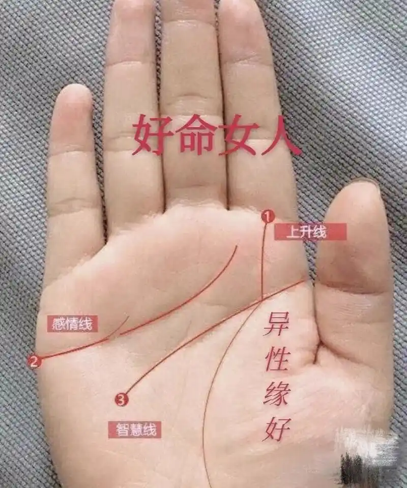 有会看手相的吗71帮我看下我是啥命71苦命71 79999999