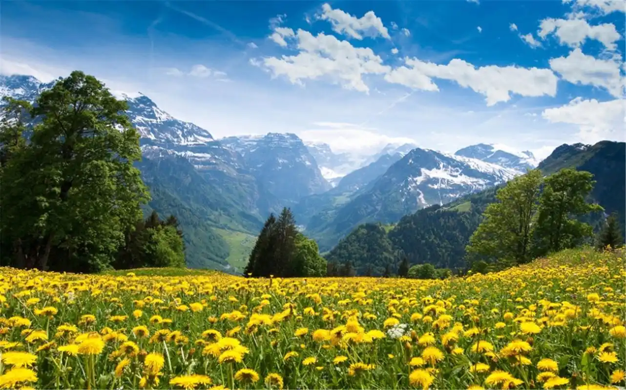 精美自然风景高清桌面壁纸