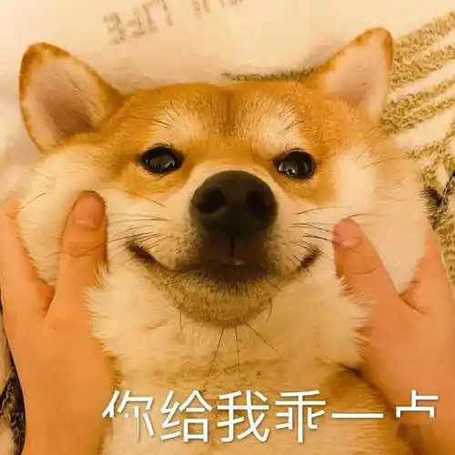 微信热门表情包:狗生注定悲哀_公众_熊猫头_一个人