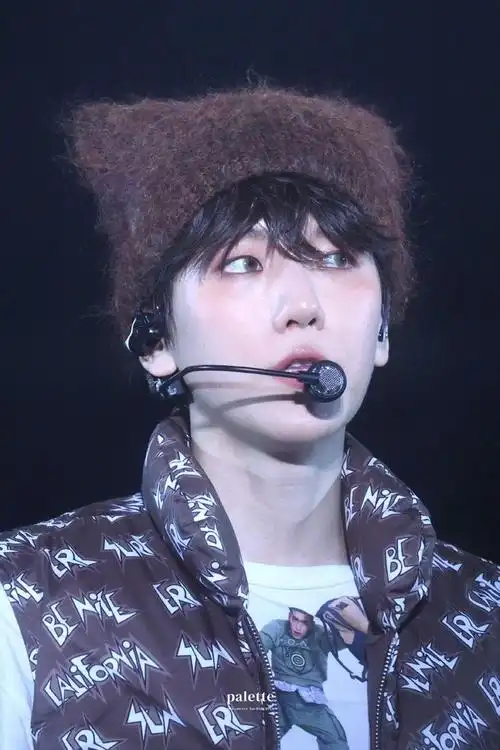 边伯贤演唱会造型可爱小猫咪