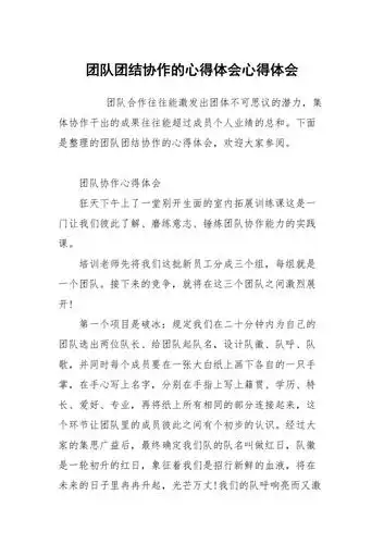 团队团结协作的心得体会