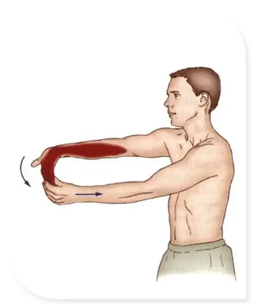 拉伸4肱二头肌拉伸3三角肌后束拉伸2三角肌外侧束拉伸1三角肌前束拉伸