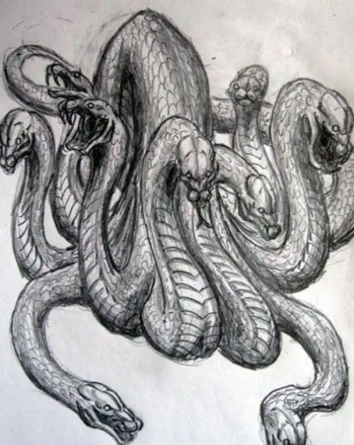 上古凶兽九婴是什么怪物有九头叫声如婴儿啼哭