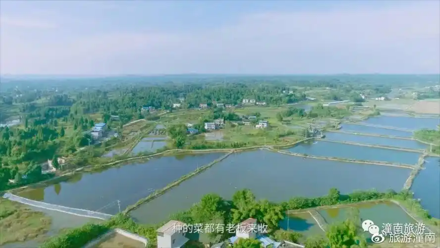 不用羡慕李子柒,潼南太安镇罐坝村就能把日子过成诗