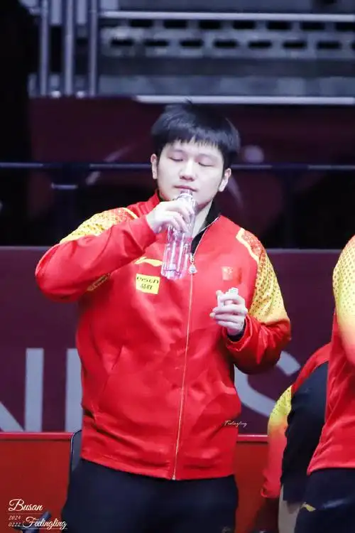 樊振东##樊振东加油