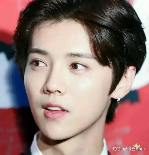 那些做双眼皮很成功的男明星们审美很在线