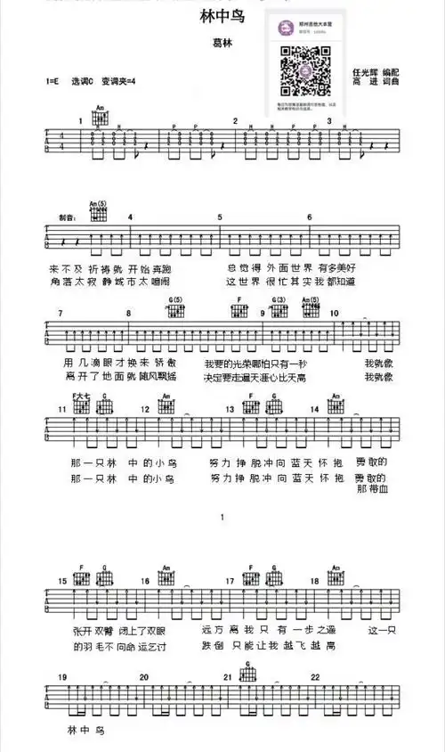 林中鸟 吉他谱