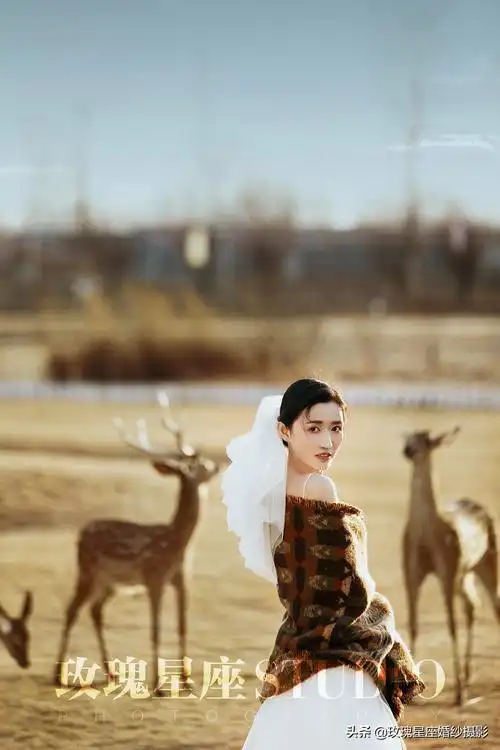 1654_2481竖版 竖屏