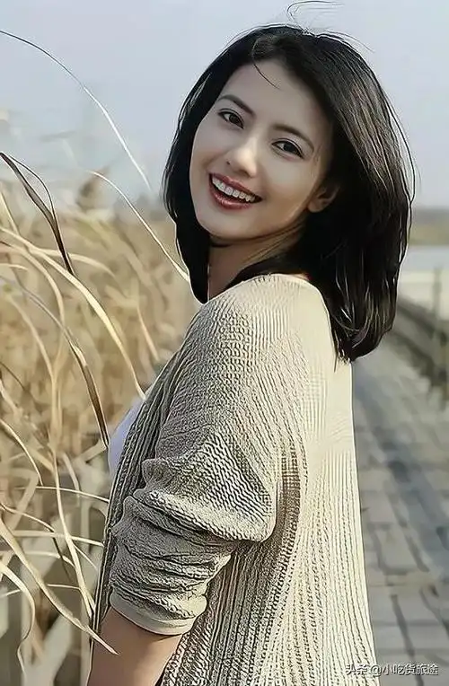 高圆圆精致美照