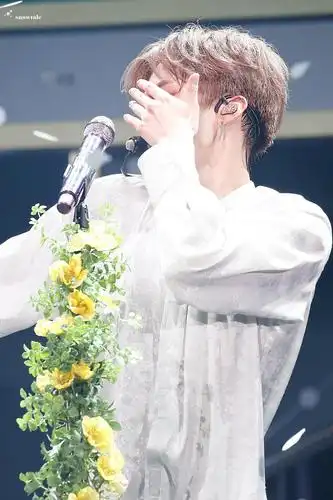 蝴蝶少女高清直拍