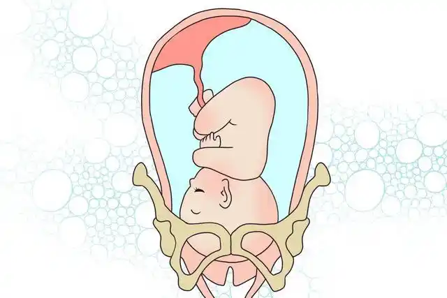 想让宝宝顺利入盆,孕晚期要做到"一避免三多做",孕妈收藏