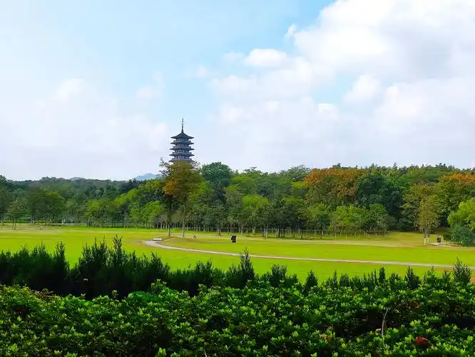 无锡宜兴市龙背山森林公园