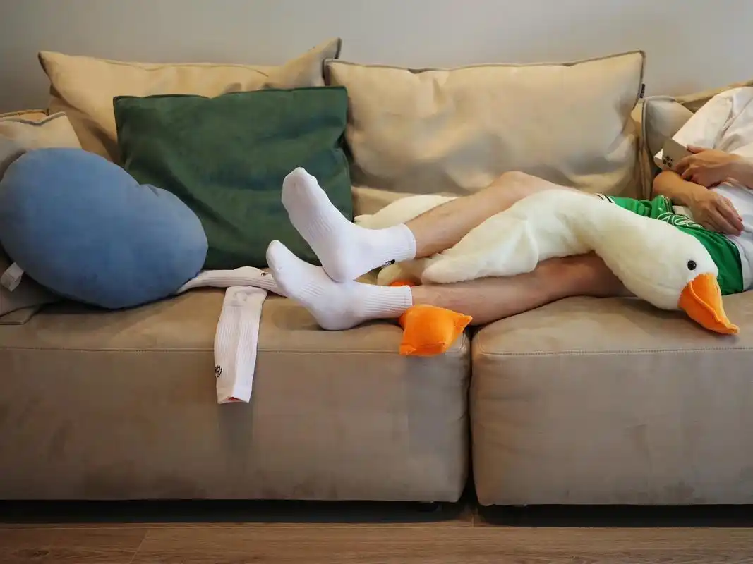 没有在户外.#无处安放的小jio #彩虹96 #介绍一个小哥 - 抖音