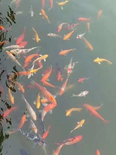 1200_1600竖版 竖屏