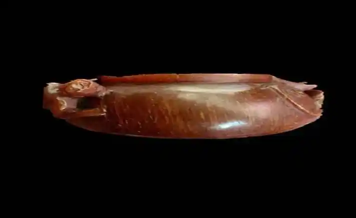 浅谈亚洲犀角特征,谁能收的_犀牛_牛角_价值