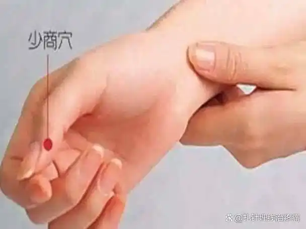 手法:呃逆时,患者可用拇指和食指紧压少商人,至有酸痛感为度,持续半