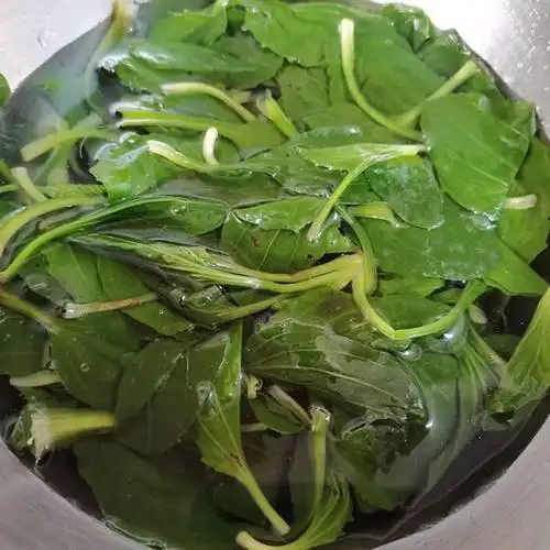 做法步骤:原料:车前草,鸡蛋,色拉油,盐.车前草炒鸡蛋