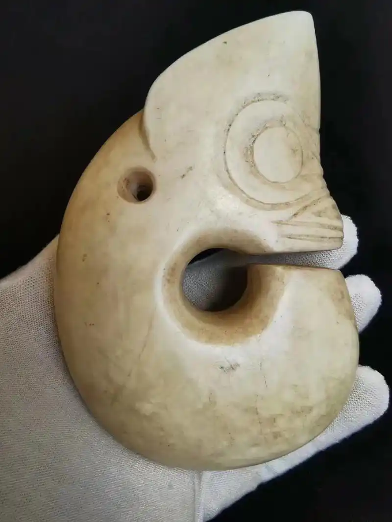 红山文化,鸡骨白玉猪龙,通高11cm,宽7.7c - 抖音