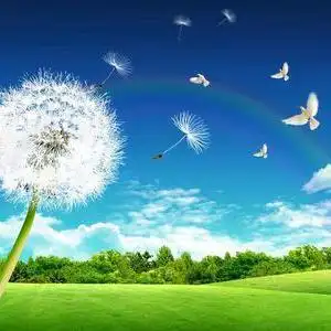 阳光下的灿烂头像