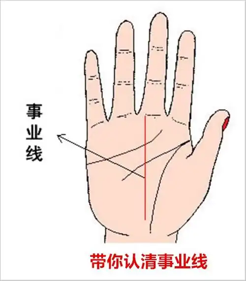 他的耳朵是否有尖角,以及用手指塞进他的耳孔,还要看他的事业线是否有