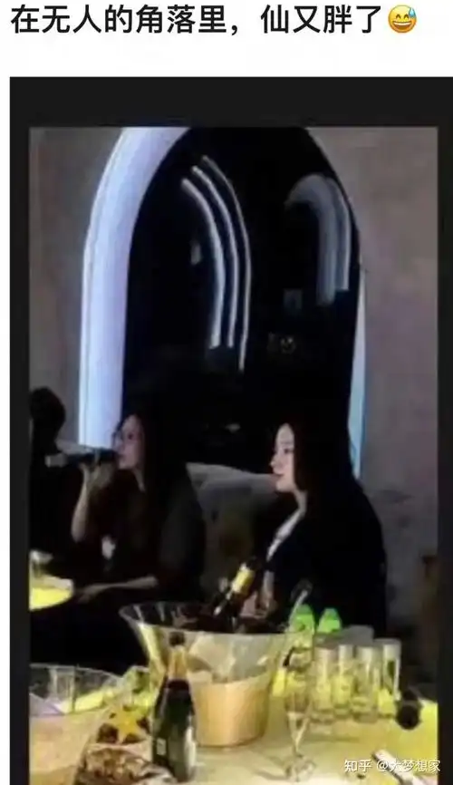 爆料刘亦菲的怀孕养胎瓜白敬亭还没凉贾玲操之过急baby舔范冰冰